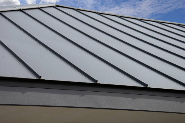 Best Roof Installation  in Plainview, MN